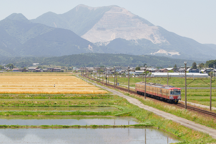愛知 名古屋城外堀のヒメホタル・三重 三岐鉄道と麦畑 ／ SIGMA